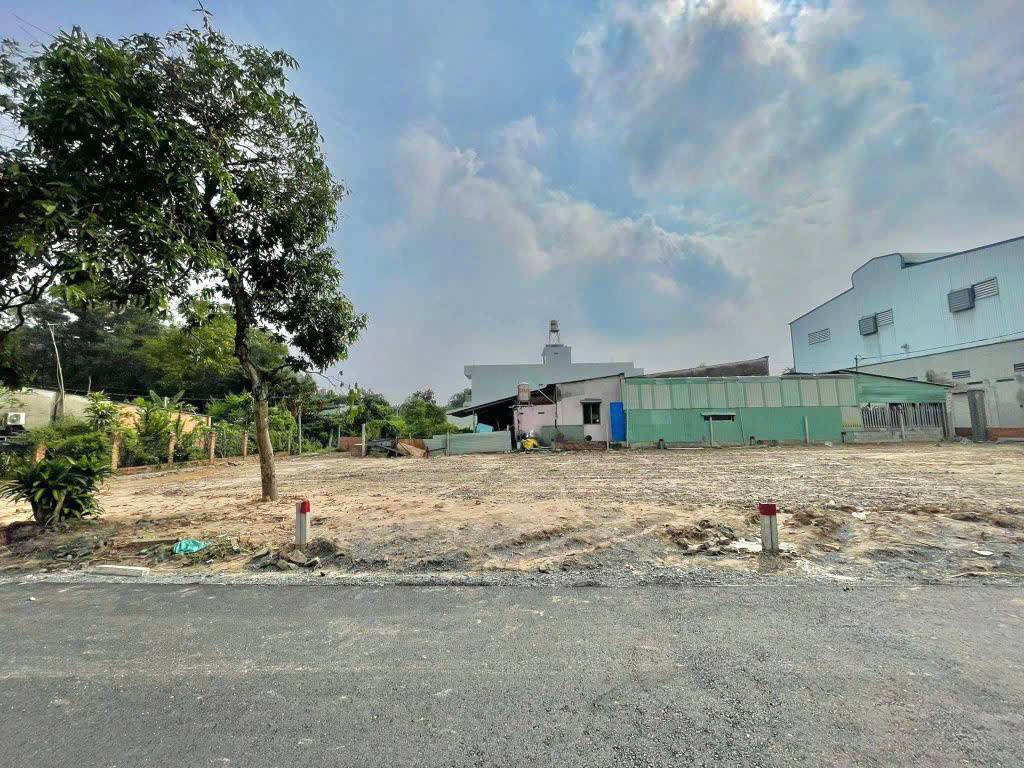 thuviennhadat.vn