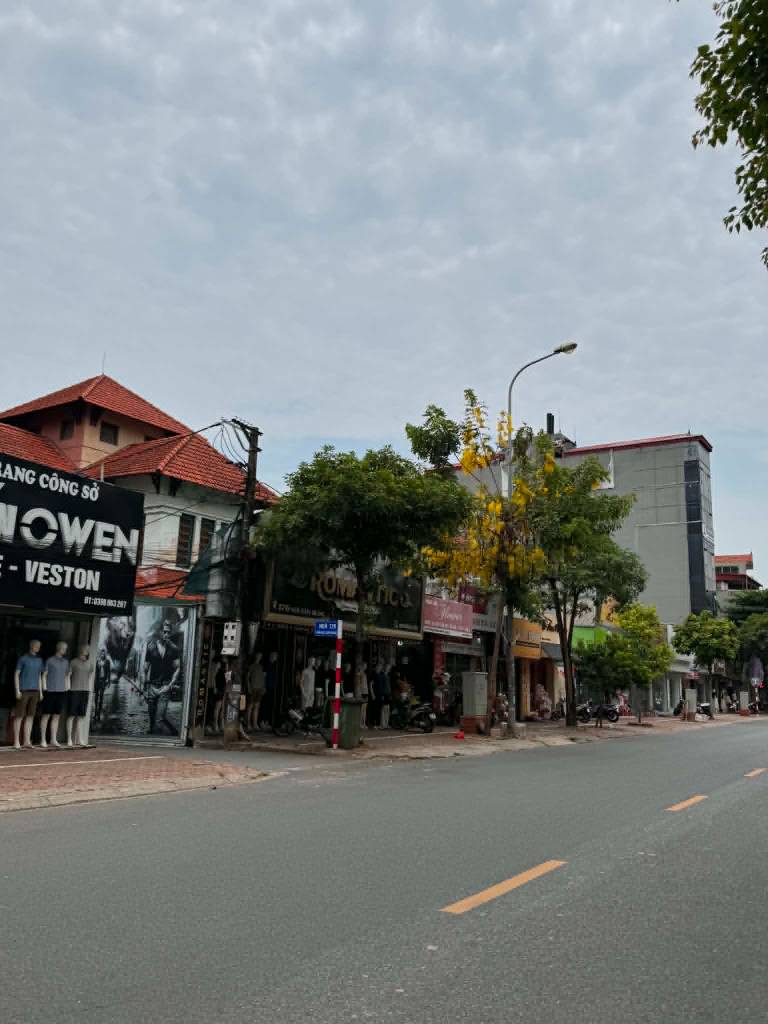 thuviennhadat.vn