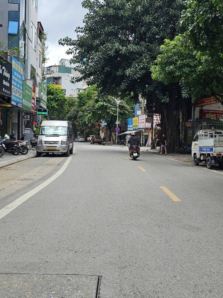 thuviennhadat.vn