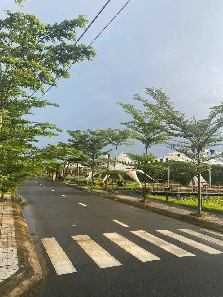 thuviennhadat.vn