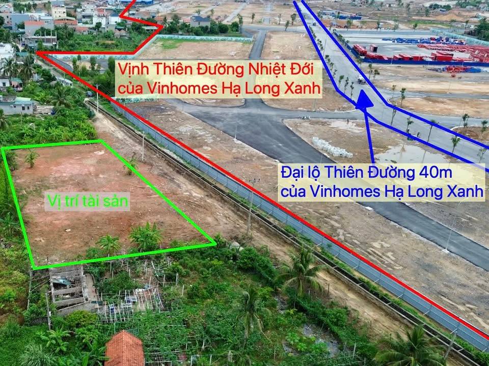 thuviennhadat.vn