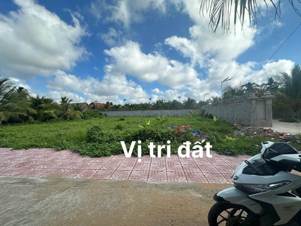 thuviennhadat.vn