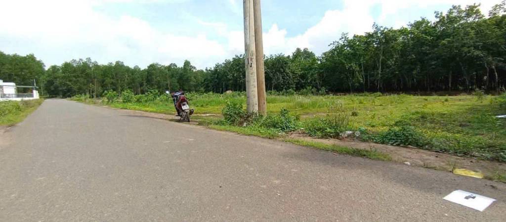 thuviennhadat.vn