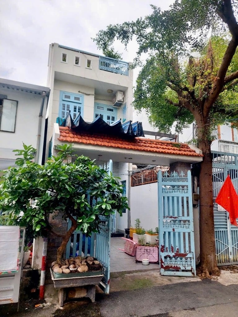 thuviennhadat.vn