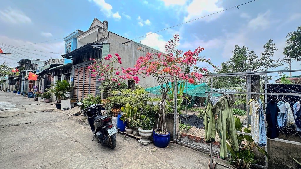 thuviennhadat.vn