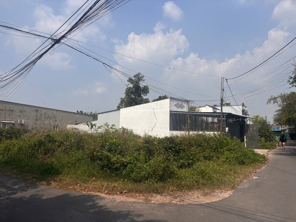 thuviennhadat.vn