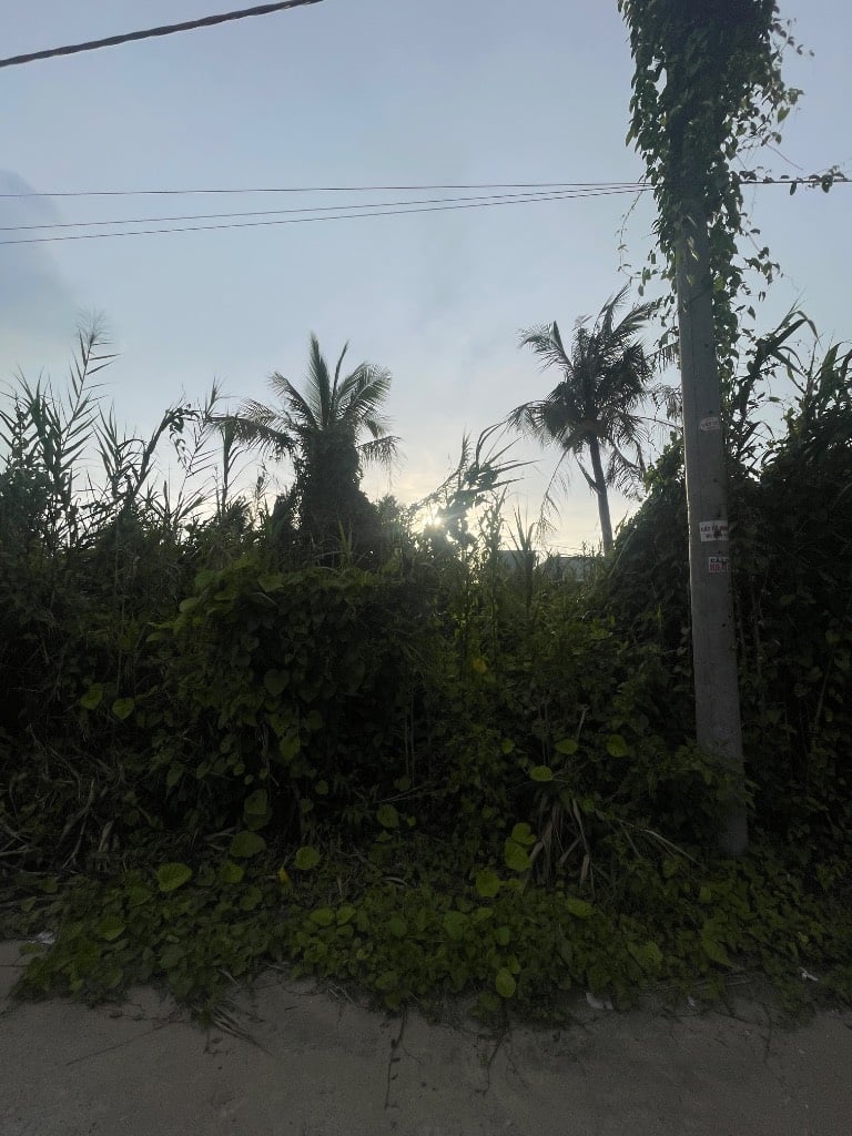 thuviennhadat.vn