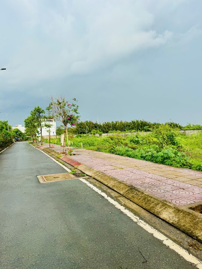thuviennhadat.vn