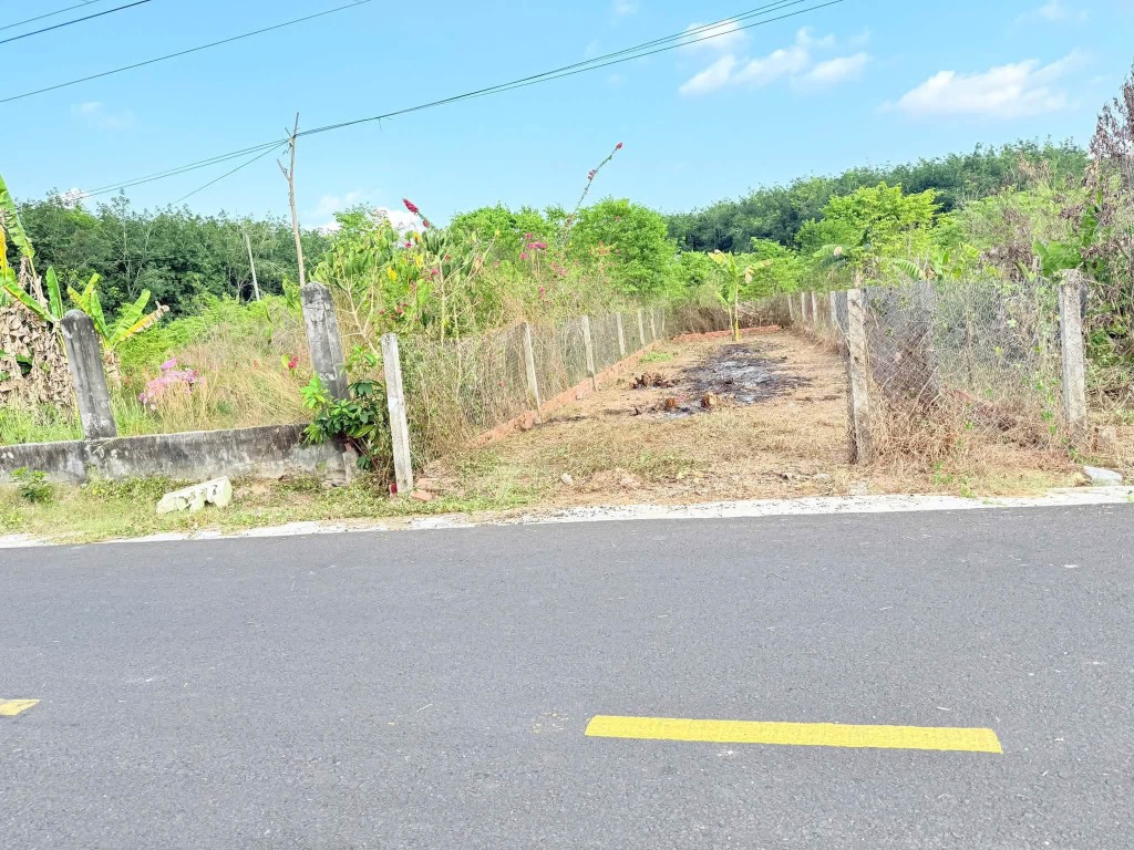 thuviennhadat.vn