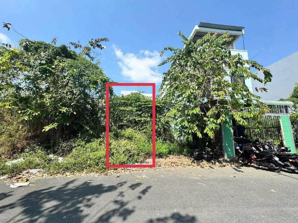 thuviennhadat.vn