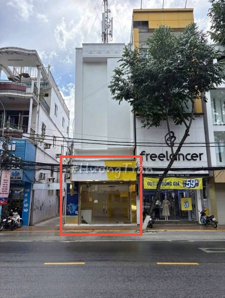 thuviennhadat.vn