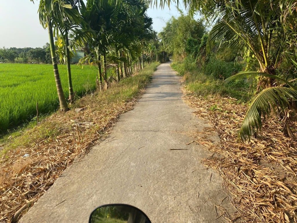 Bán đất Trường Long A, Hậu Giang, diện tích 13.000m² chính chủ giá 3,8 tỷ