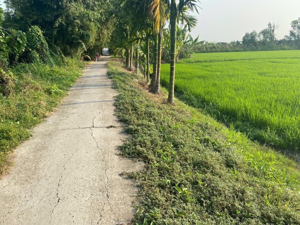 Bán đất Trường Long A, Hậu Giang, diện tích 13.000m² chính chủ giá 3,8 tỷ