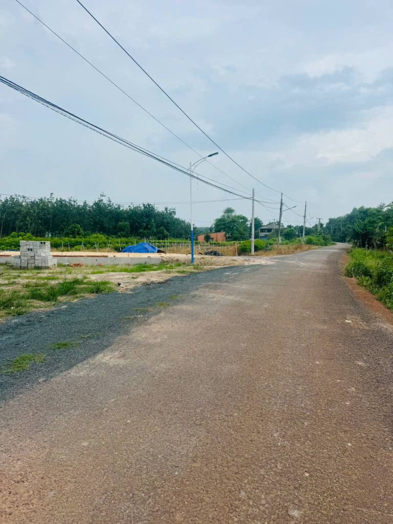 thuviennhadat.vn