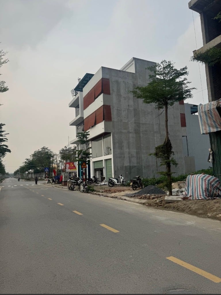 thuviennhadat.vn