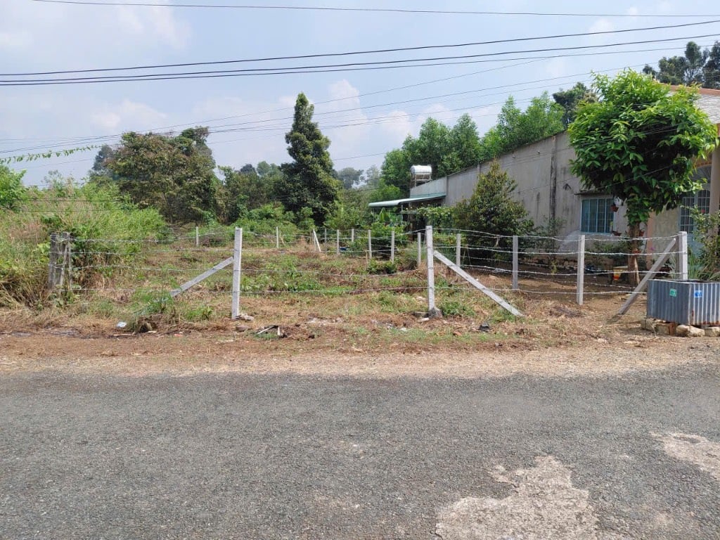 thuviennhadat.vn