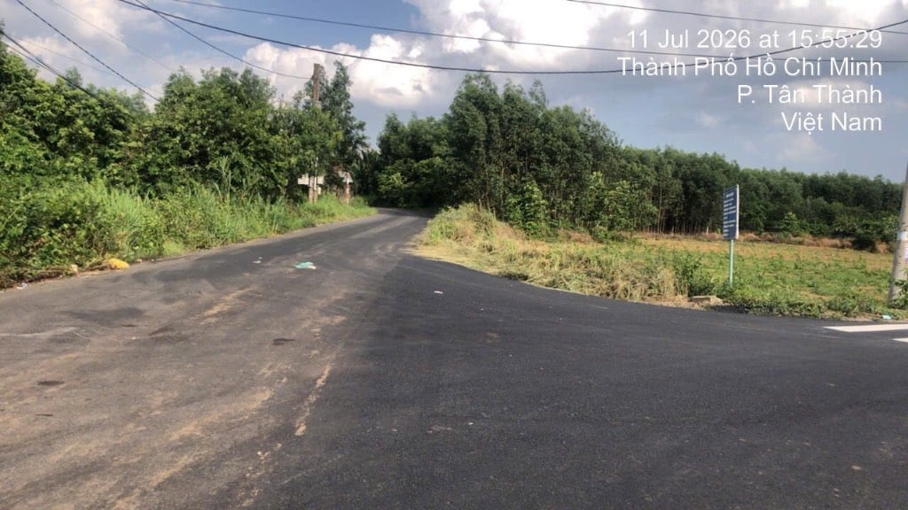 thuviennhadat.vn