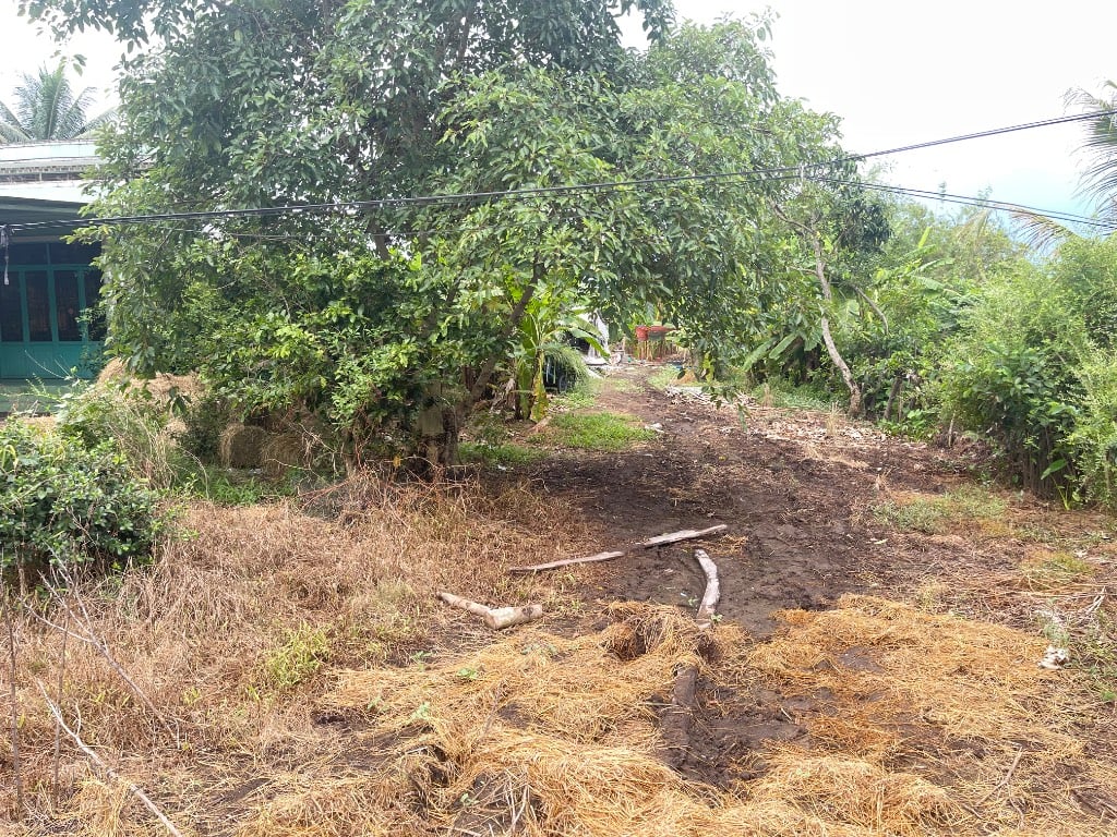 BÁN ĐẤT XÃ TÂN PHÚ, ĐỒNG THÁP, CHÍNH CHỦ, DT 4259M2 ĐẤT TRỒNG LÚA, GIÁ 1,9 TỶ