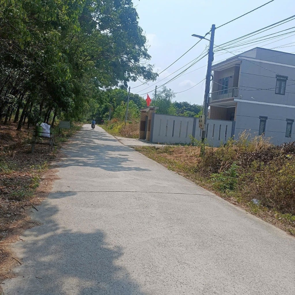 thuviennhadat.vn