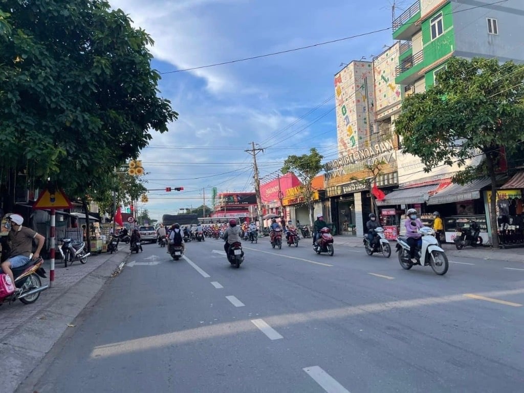 thuviennhadat.vn