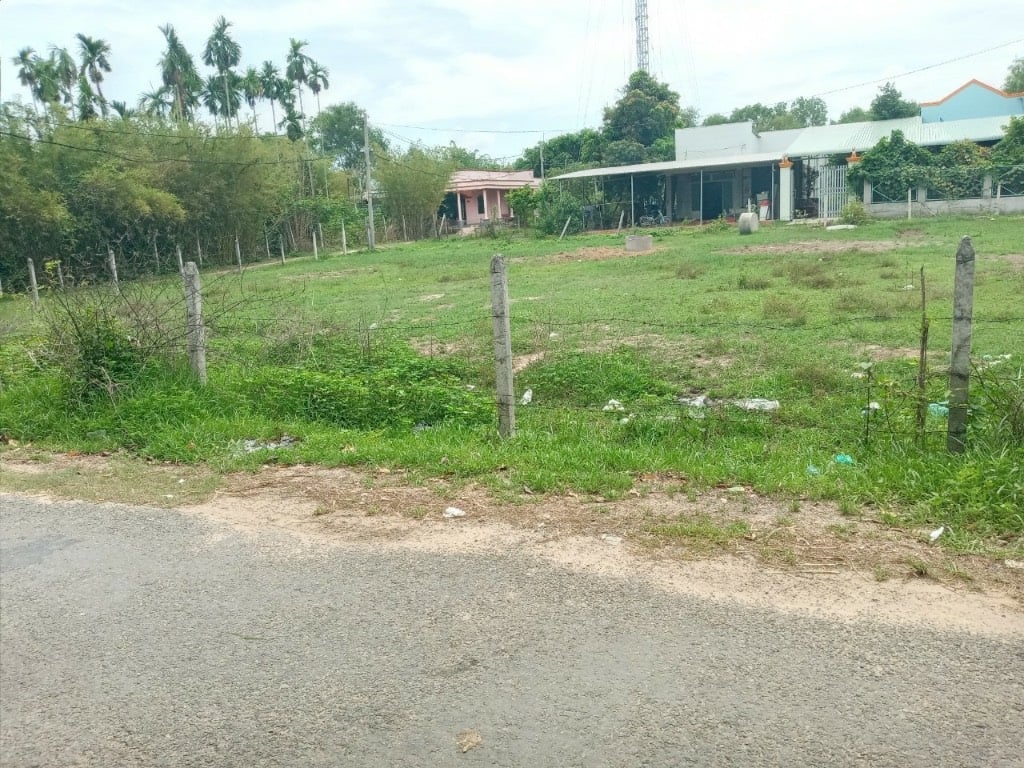 thuviennhadat.vn