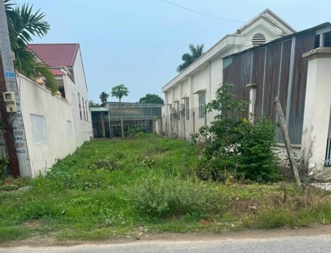 thuviennhadat.vn