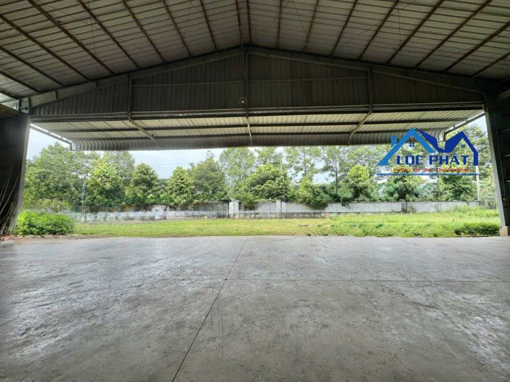 thuviennhadat.vn