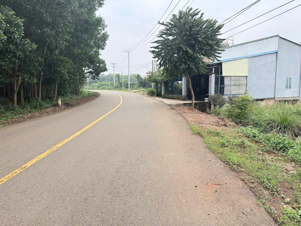 thuviennhadat.vn