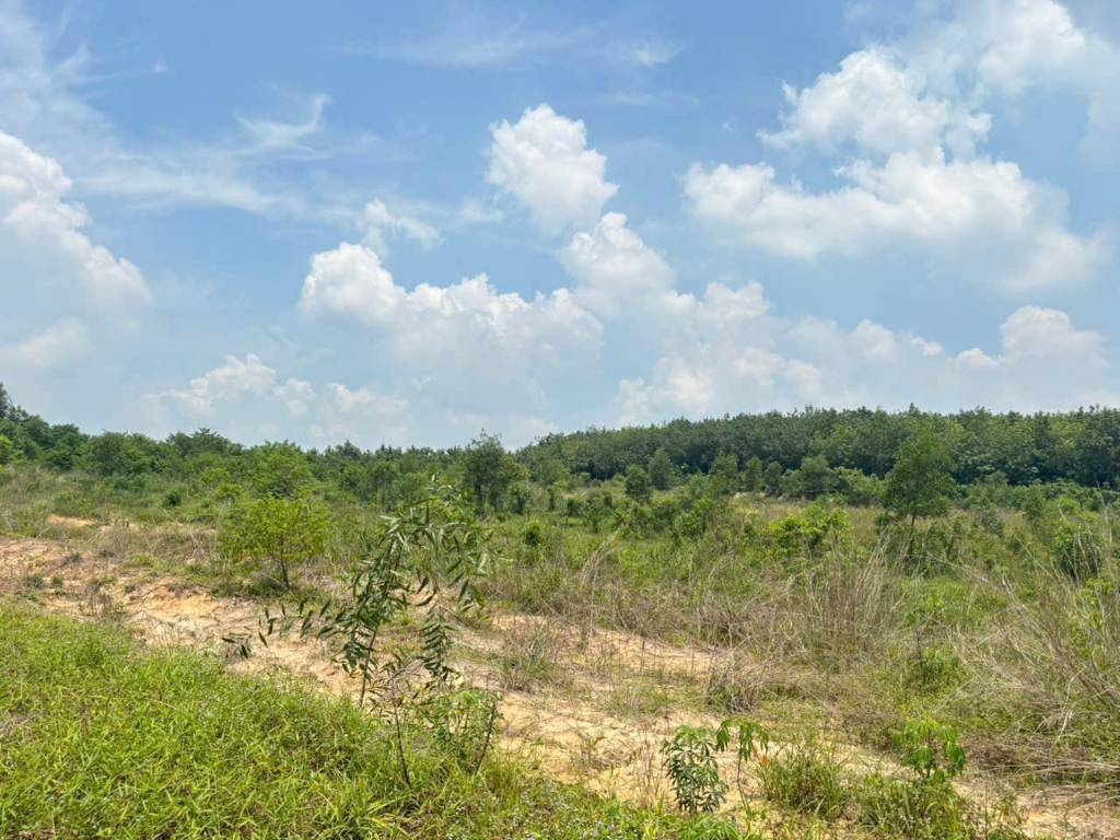 thuviennhadat.vn