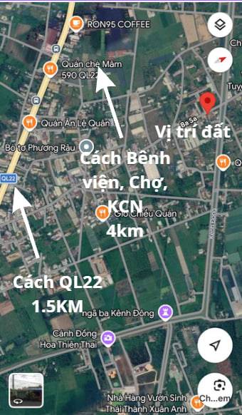 thuviennhadat.vn