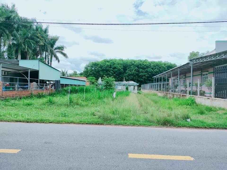 thuviennhadat.vn