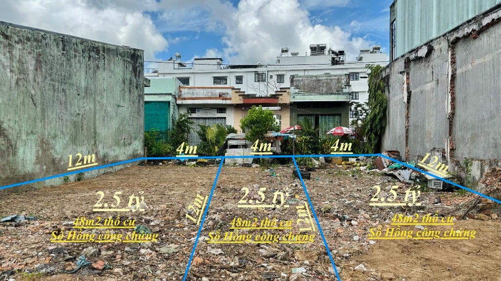 thuviennhadat.vn