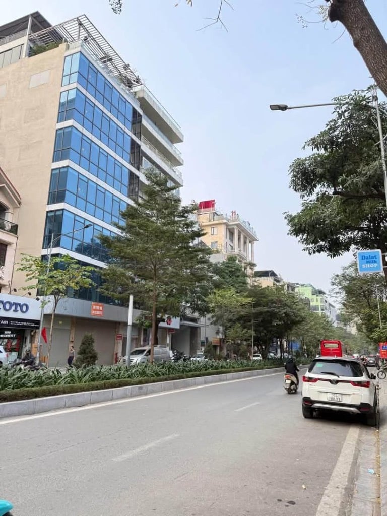 thuviennhadat.vn
