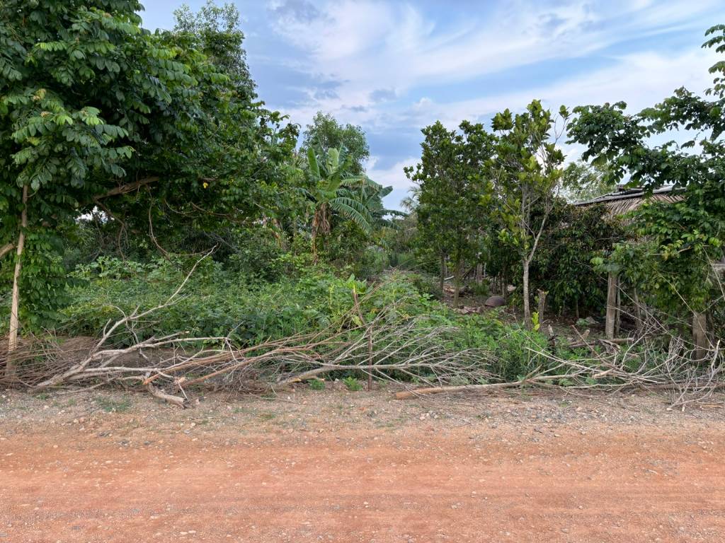 thuviennhadat.vn
