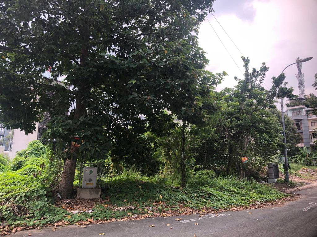 thuviennhadat.vn