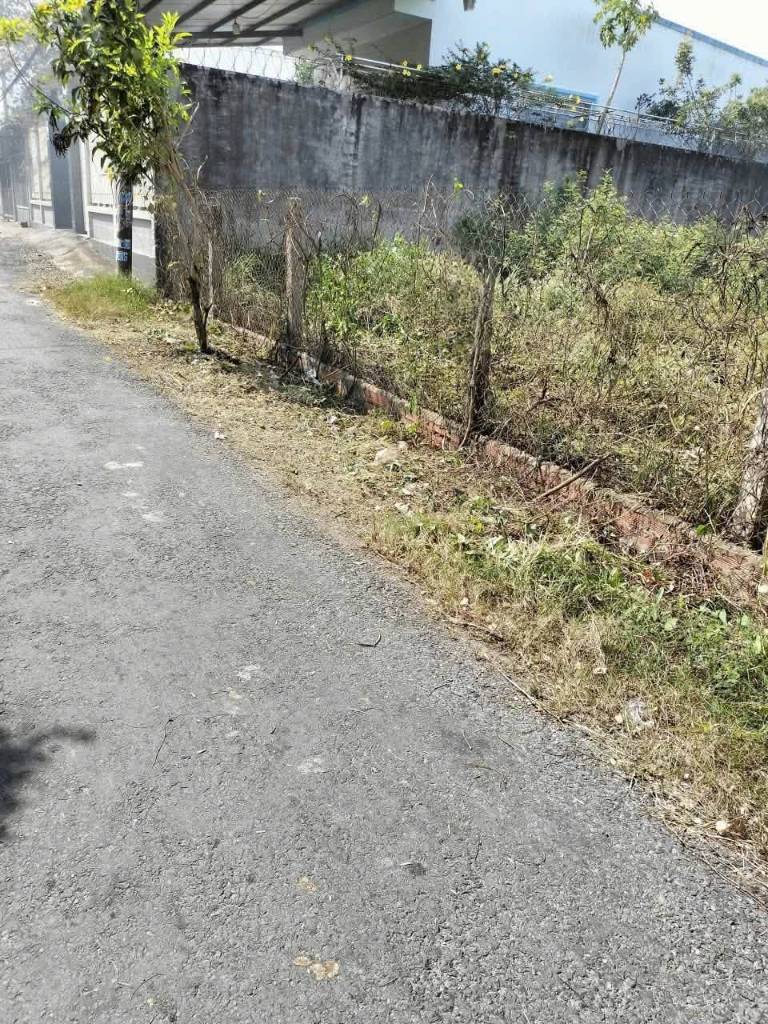 thuviennhadat.vn