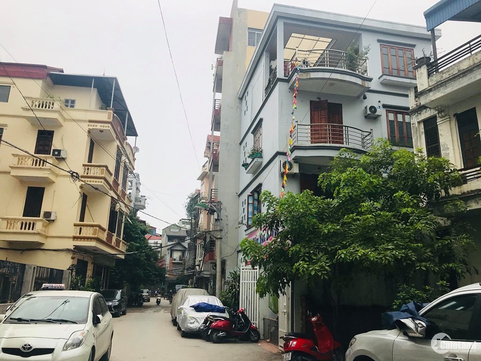 thuviennhadat.vn