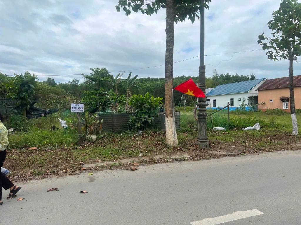 thuviennhadat.vn