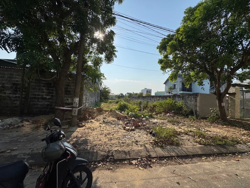 thuviennhadat.vn