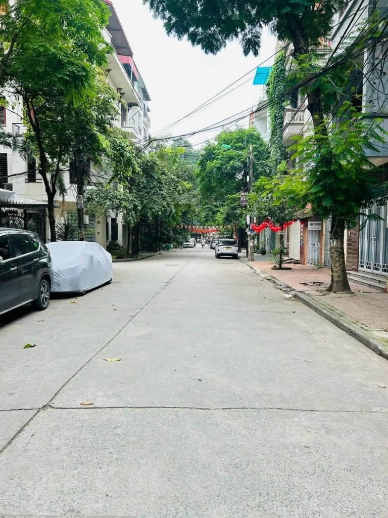 thuviennhadat.vn