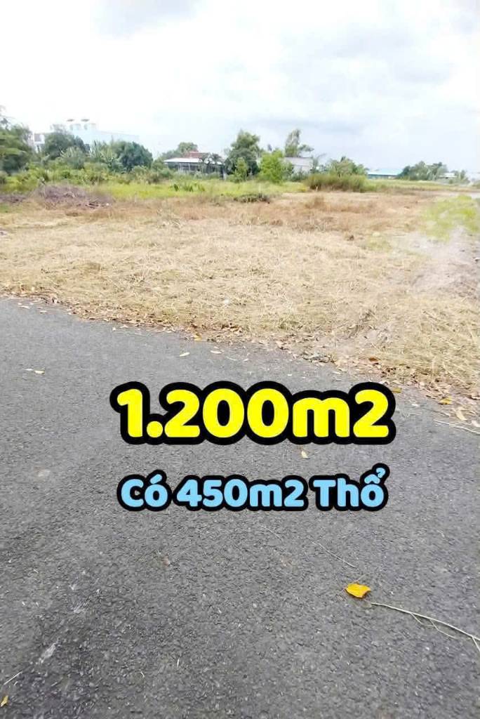 thuviennhadat.vn