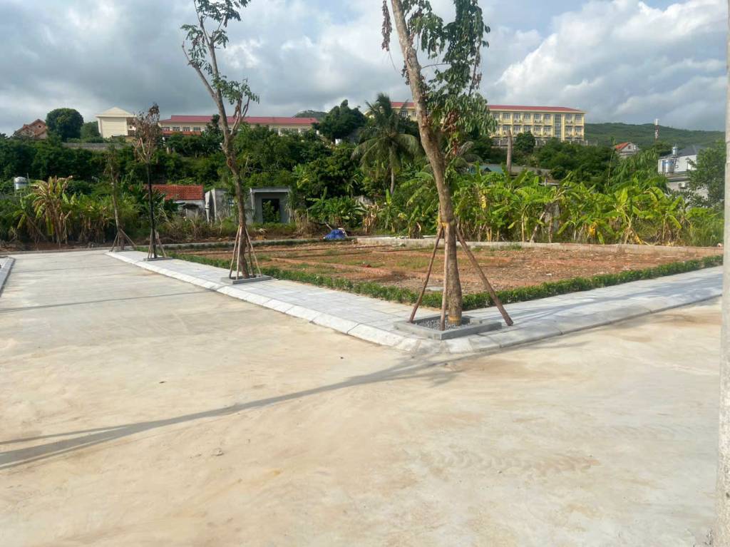 thuviennhadat.vn