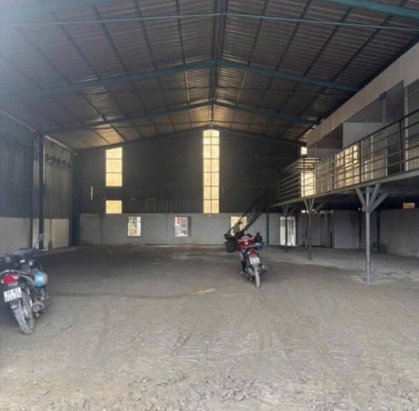 thuviennhadat.vn