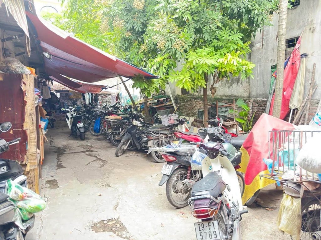 thuviennhadat.vn