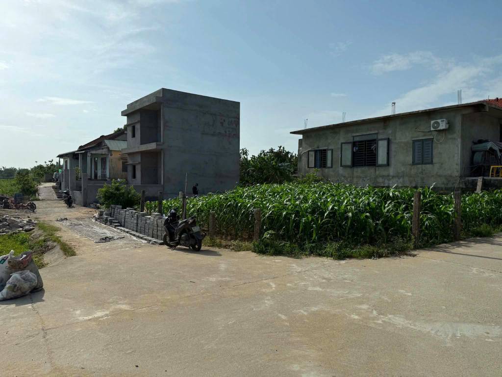 thuviennhadat.vn
