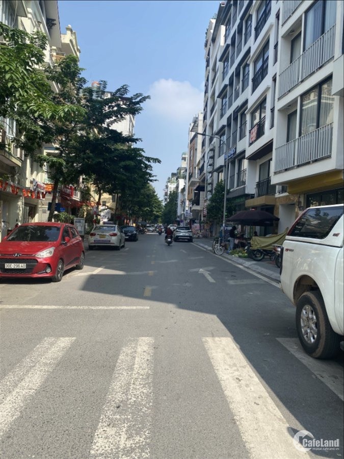 thuviennhadat.vn