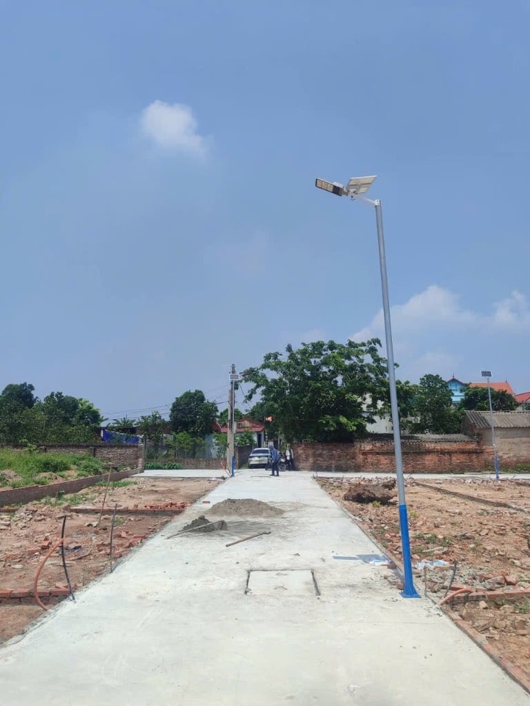 thuviennhadat.vn