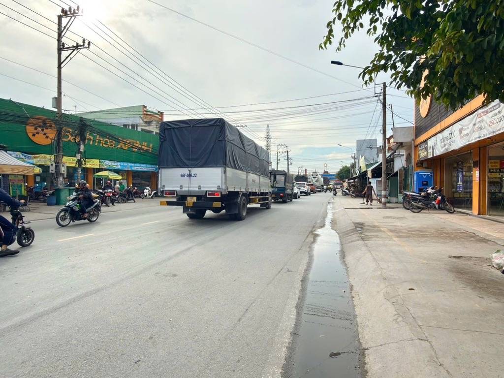 thuviennhadat.vn