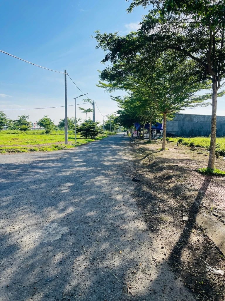 thuviennhadat.vn
