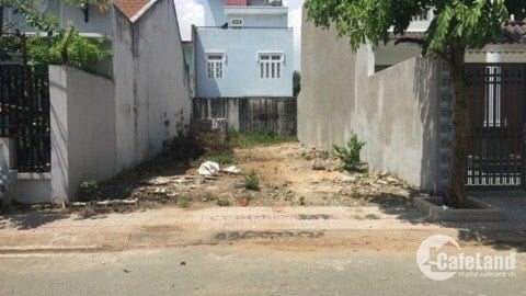 thuviennhadat.vn